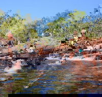 Litchfield and Jumping Crocodiles Full Day Trip from Darwin - Accommodation Perth