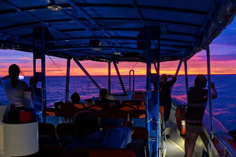 Darwin Sunset Cruise, Including Fish \'n\' Chips - Accommodation Perth 9