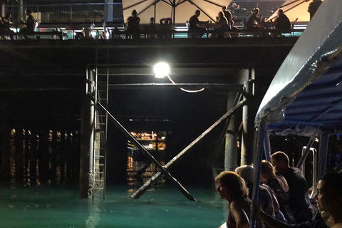 Darwin Sunset Cruise, Including Fish \'n\' Chips - Accommodation Perth 8