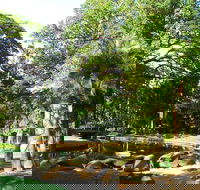 Darwin Afternoon Sightseeing Tour - Accommodation Perth