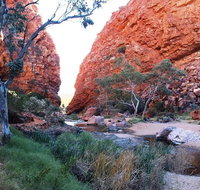 Half Day MacDonnell Ranges Small Group - Private Guided Tour - Accommodation Perth
