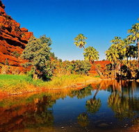 Palm Valley 4WD Day Tour - Accommodation Perth
