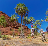 Palm Valley 4WD Tour from Alice Springs - Accommodation Perth