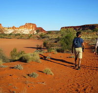 Chambers Pillar and Rainbow Valley 1 Day 4WD Tour - Accommodation Perth