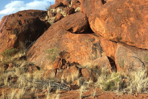 Aboriginal Homelands Experience From Ayers Rock Including Sunset - Accommodation Perth 9