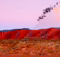 Best of Ayers Rock Sunset Uluru and Sunrise Kata Tjuta Small Group Tours - Accommodation Perth