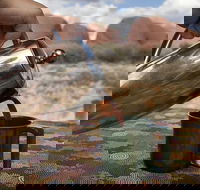 Kata Tjuta Small-Group Tour Including Sunrise and Breakfast - Accommodation Perth