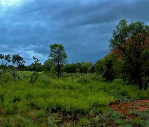 3-Day Ayers Rock To Alice Springs Camping Tour Including Kings Canyon, Kata Tjuta And Uluru - Accommodation Perth 11