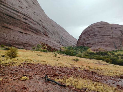 3-Day Ayers Rock To Alice Springs Camping Tour Including Kings Canyon, Kata Tjuta And Uluru - Accommodation Perth 4