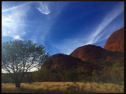 3-Day Ayers Rock To Alice Springs Camping Tour Including Kings Canyon, Kata Tjuta And Uluru - Accommodation Perth 14