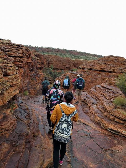 3-Day Ayers Rock To Alice Springs Camping Tour Including Kings Canyon, Kata Tjuta And Uluru - Accommodation Perth 6