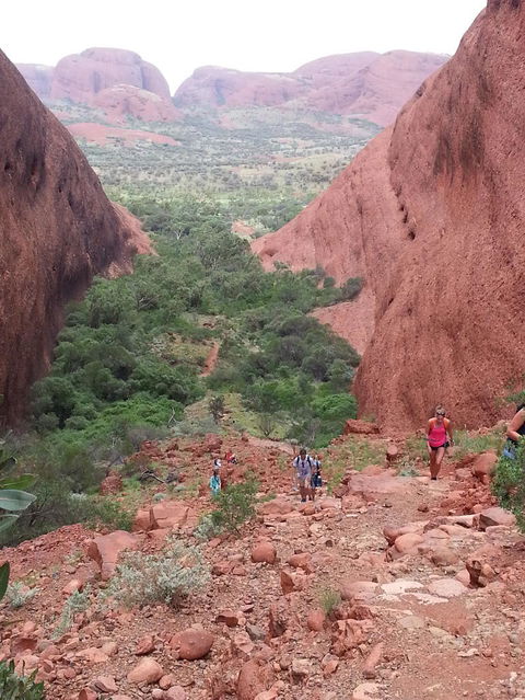 3-Day Ayers Rock To Alice Springs Camping Tour Including Kings Canyon, Kata Tjuta And Uluru - Accommodation Perth 7