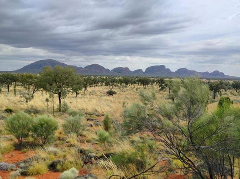 3-Day Ayers Rock To Alice Springs Camping Tour Including Kings Canyon, Kata Tjuta And Uluru - Accommodation Perth 5