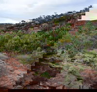 Palm Valley and Hermannsburg 1 Day 4WD Tour - Perth Resorts