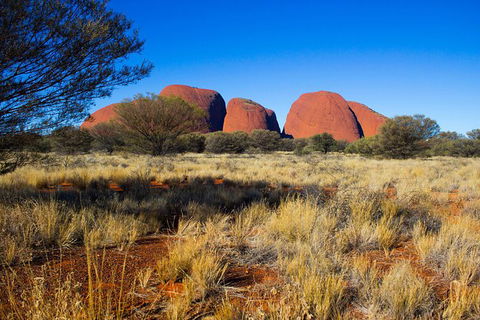 Ayers Rock 4 Tour Combo: Complete Uluru Base Walk At Sunrise, Valley Of The Winds At Sunrise, Kata Tjuta Sunset And Uluru Sunset - Perth Resorts 12