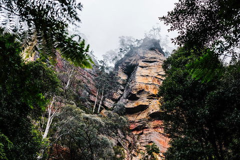 All-Inclusive Blue Mountains Day Trip With River Cruise - Accommodation Perth 3