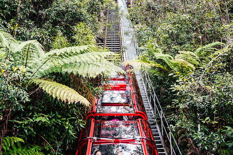 All-Inclusive Blue Mountains Day Trip With River Cruise - Accommodation Perth 6