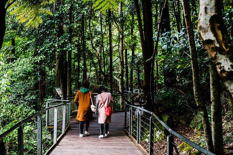 All-Inclusive Blue Mountains Day Trip With River Cruise - Accommodation Perth 10
