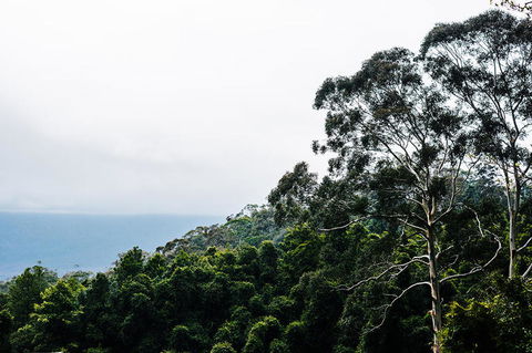 All-Inclusive Blue Mountains Day Trip With River Cruise - Accommodation Perth 18