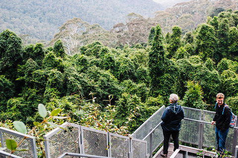 All-Inclusive Blue Mountains Day Trip With River Cruise - Accommodation Perth 2