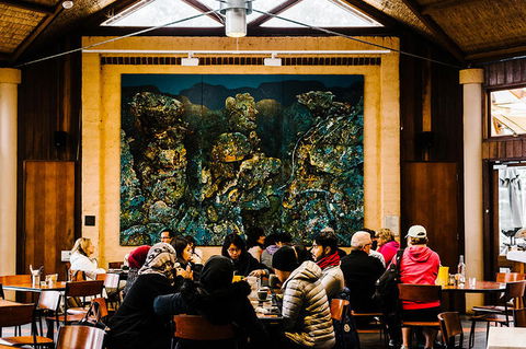 All-Inclusive Blue Mountains Day Trip With River Cruise - Accommodation Perth 13