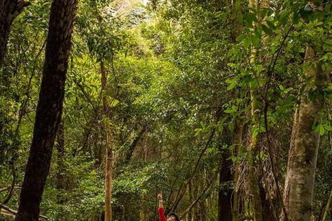 All-Inclusive Blue Mountains Day Trip With River Cruise - Accommodation Perth 26