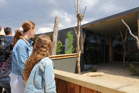 All-Inclusive Blue Mountains Day Trip With River Cruise - Accommodation Perth 23