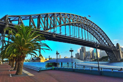 Half Day In Sydney With A Local: Private & Personalized - Accommodation Perth 10