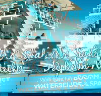 Port Stephens Dolphin Watching Cruise Including Splash and Slide - Accommodation Perth