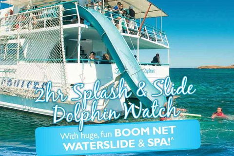 Port Stephens Dolphin Watching Cruise Including Splash And Slide - Accommodation Perth 0