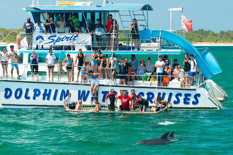 Port Stephens Dolphin Watching Cruise Including Splash And Slide - Accommodation Perth 1