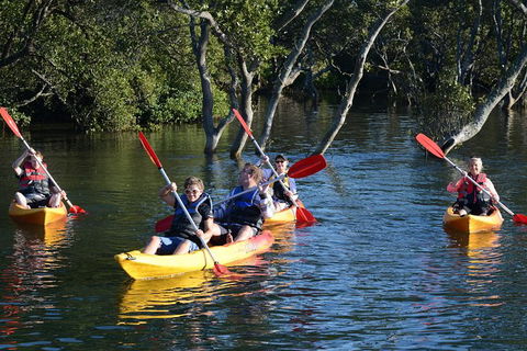 Kayak And SUP Guided Tours - Accommodation Perth 0