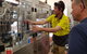 Hop Hunter Brewery Tour - Full Day - thumb 7