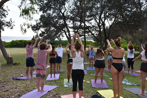 7-Day Byron Bay, Evans Head And Moonee Beach Surf Safari From Brisbane, Gold Coast Or Byron Bay - Accommodation Perth 3