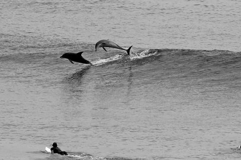 7-Day Byron Bay, Evans Head And Moonee Beach Surf Safari From Brisbane, Gold Coast Or Byron Bay - Accommodation Perth 6