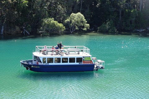 Brunswick Heads Rainforest Eco-Cruise - Accommodation Perth 0
