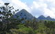 Brunswick Heads Rainforest Eco-Cruise - thumb 3