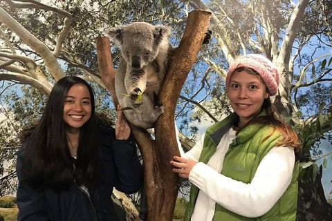 Australia Multi-City Attractions Pass - Accommodation Perth 2