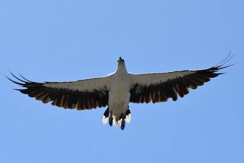 Tweed River And Rainforest Eco Cruise - Accommodation Perth 7