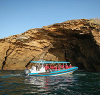 Hunter Coastal Adventure Tour by Boat from Newcastle - Accommodation Perth