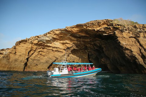 Hunter Coastal Adventure Tour By Boat From Newcastle - Accommodation Perth 0
