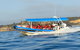 Hunter Coastal Adventure Tour By Boat From Newcastle - thumb 3
