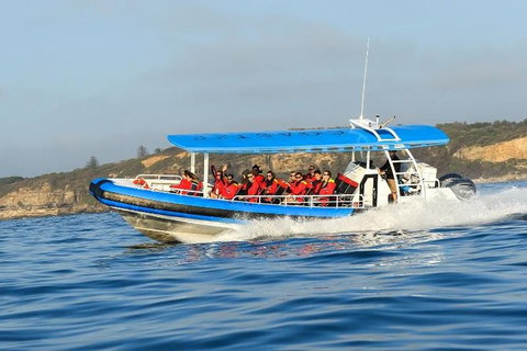 Hunter Coastal Adventure Tour By Boat From Newcastle - Accommodation Perth 3