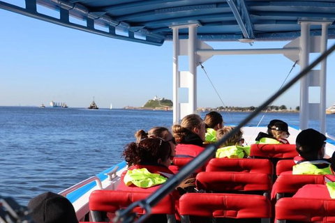 Hunter Coastal Adventure Tour By Boat From Newcastle - Accommodation Perth 4
