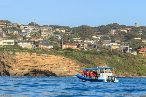 Hunter Coastal Adventure Tour By Boat From Newcastle - Accommodation Perth 5