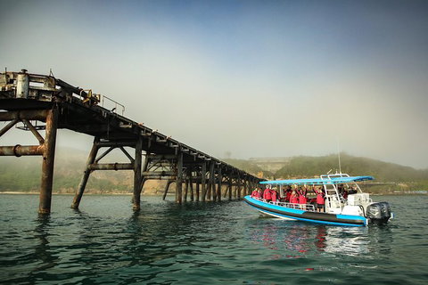 Hunter Coastal Adventure Tour By Boat From Newcastle - Accommodation Perth 6