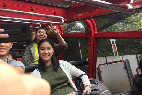 All-Day Blue Mountains Private Tour With Professional Guide For Up To 4 People - Perth Resorts 15