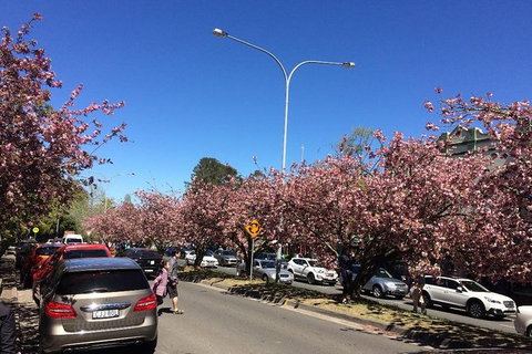 All-Day Blue Mountains Private Tour With Professional Guide For Up To 4 People - Perth Resorts 16