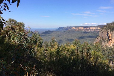 All-Day Blue Mountains Private Tour With Professional Guide For Up To 4 People - Perth Resorts 4