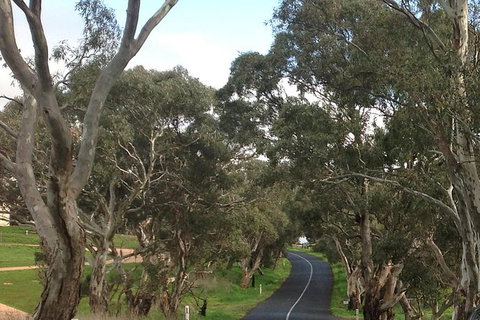 All-Day Blue Mountains Private Tour With Professional Guide For Up To 4 People - Perth Resorts 22